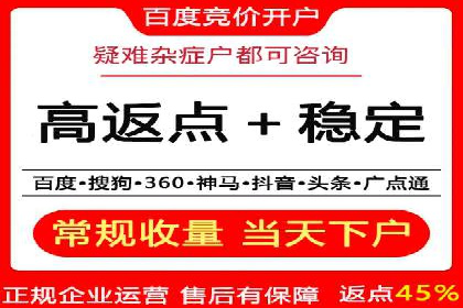 竞价排名广告投放案例